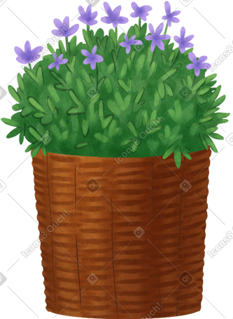 plant with small lilac flowers in a pot PNG, SVG