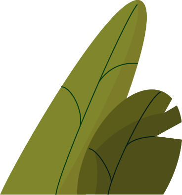 Arbusto PNG, SVG