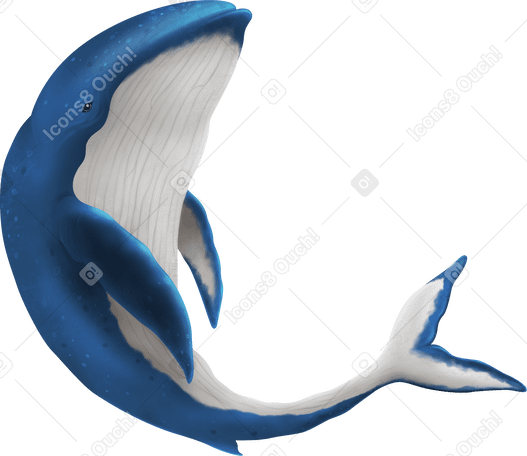 鲸 PNG, SVG