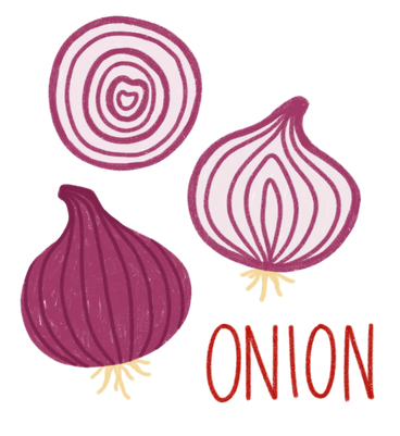 Onion, half of onion, onion slice and lettering PNG, SVG