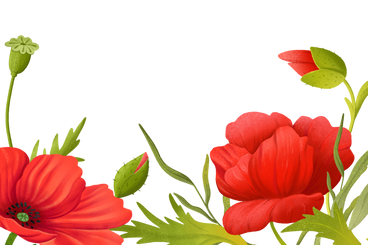 Hintergrund mit roten mohnblumen um die ränder PNG, SVG