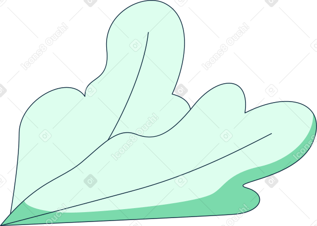 lettuce Illustration in PNG, SVG