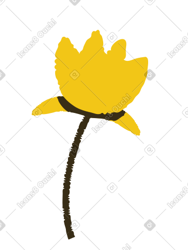 莲花 PNG, SVG