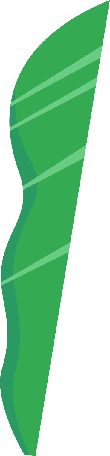 green long leaf animierte Grafik in GIF, Lottie (JSON), AE