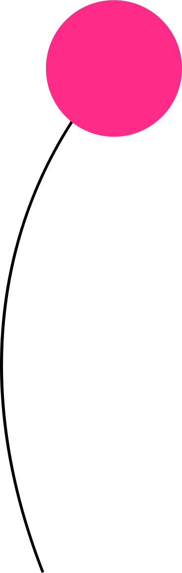 장미 봉오리 PNG, SVG