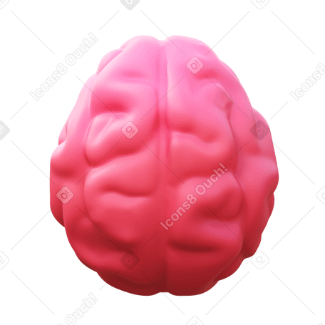 3D brain PNG, SVG