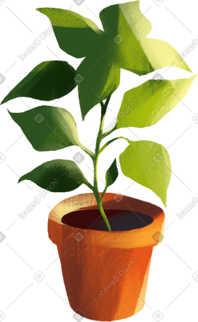 plant in the pot PNG, SVG