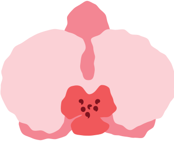 orchid flower PNG, SVG