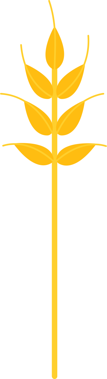 wheat PNG, SVG