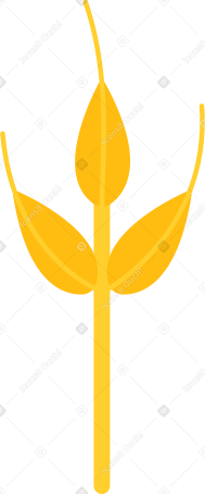wheat PNG, SVG