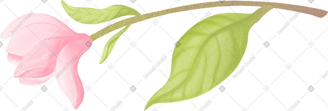 twig with magnolia flower PNG, SVG