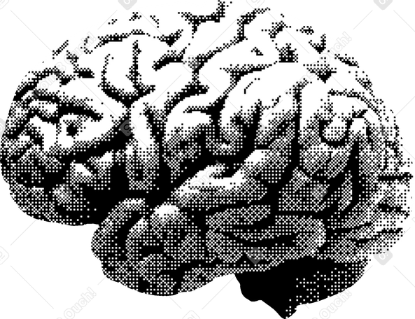 Cervello PNG, SVG