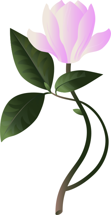 large pink magnolia flower on a twig with leaves PNG, SVG
