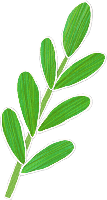 large green branch with leaves PNG, SVG