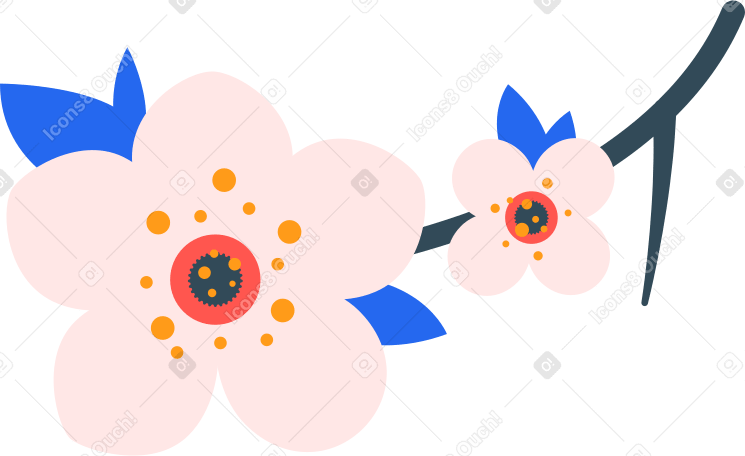 plum  blossom Illustration in PNG, SVG