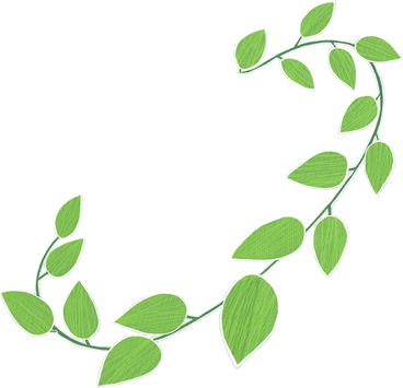 Branche avec des feuilles vertes disposées en demi-cercle PNG, SVG
