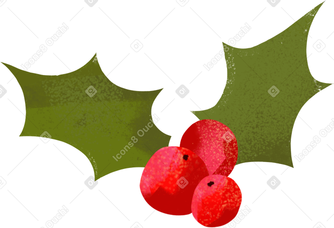 christmas holly plant PNG、SVG