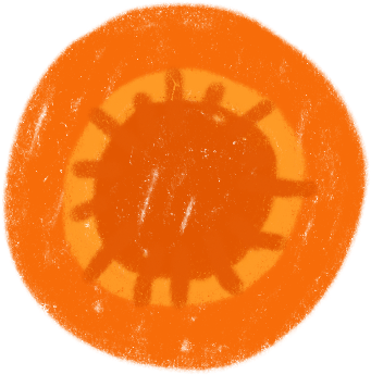 Carrot slice в PNG, SVG
