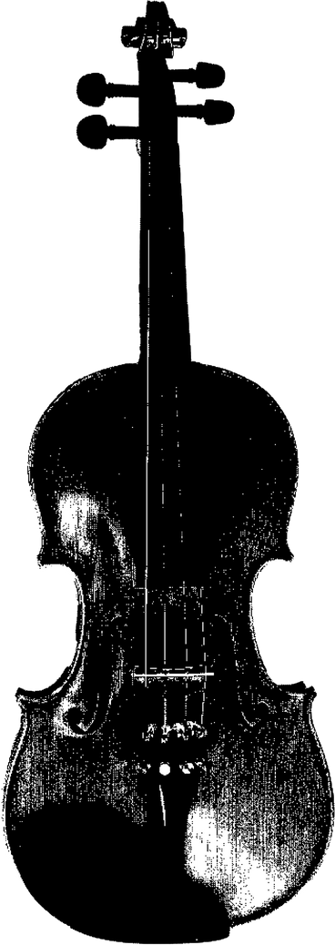 Violino PNG, SVG