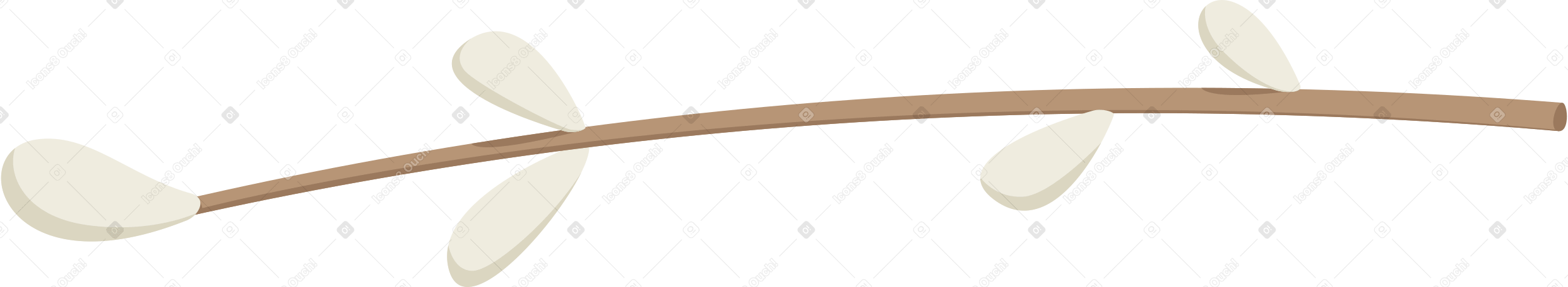 ветка ивы в PNG, SVG