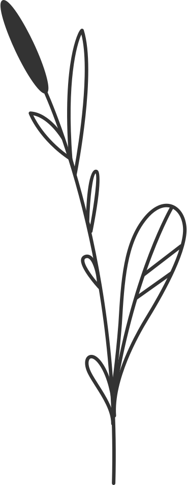 Reed PNG, SVG