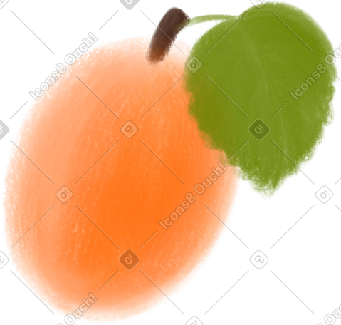 apricot PNG, SVG