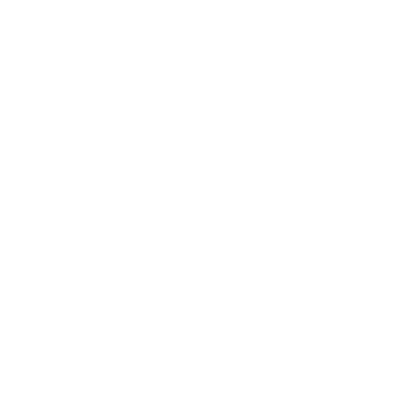 white octagon PNG, SVG