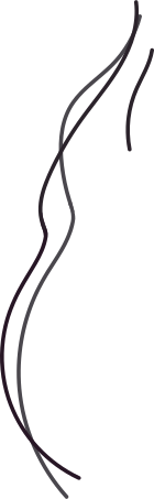 wires Illustration in PNG, SVG