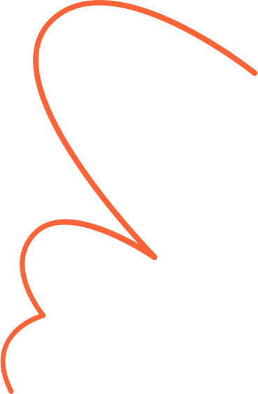 Linea riccia rossa PNG, SVG