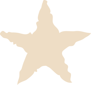beige star shape PNG, SVG