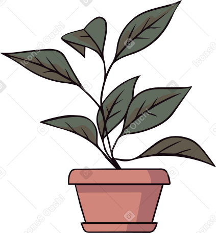 plant PNG, SVG