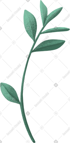 small green twig with several leaves PNG, SVG