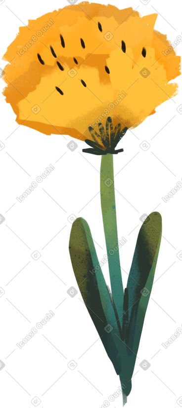 花 PNG, SVG