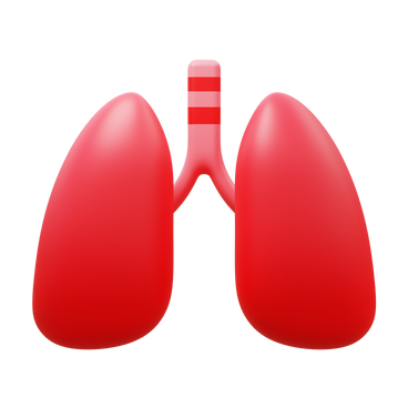 lungs PNG, SVG