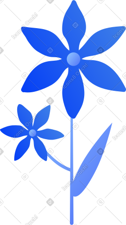 花卉 PNG, SVG