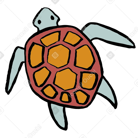 Schildkröte PNG, SVG