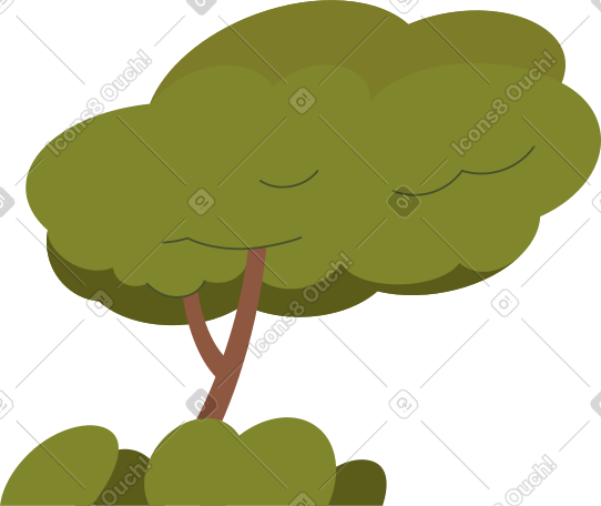 green grass into a lush tree PNG, SVG