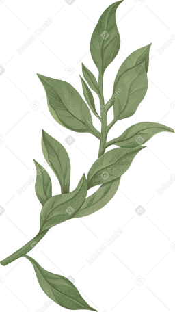 thick green branch with leaves PNG、SVG
