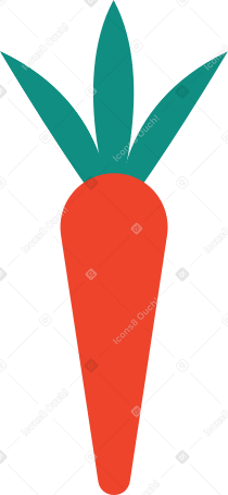 carrot Illustration in PNG, SVG