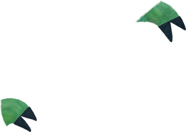 Jungle Style Vector Illustrations in PNG and SVG