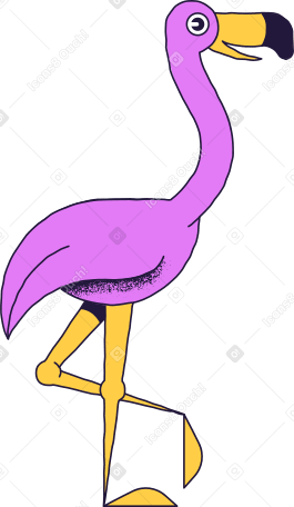 фламинго в PNG, SVG