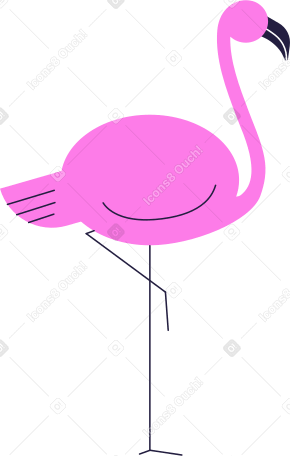 flamingos Illustration in PNG, SVG