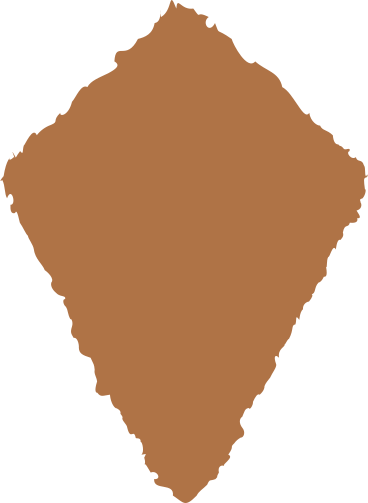 Воздушный змей коричневый в PNG, SVG