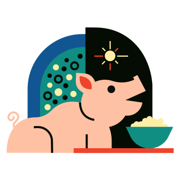 pig in front of food in a bowl PNG, SVG