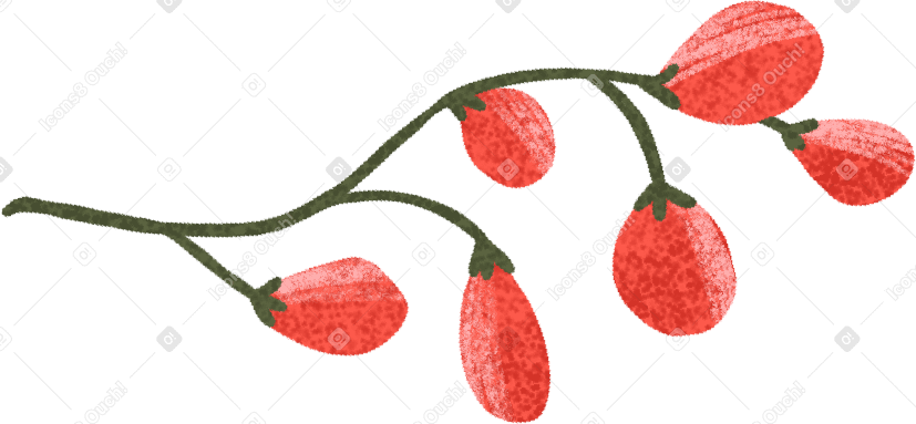 small twig with red berries PNG, SVG