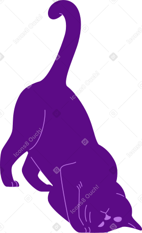 Gatto PNG, SVG