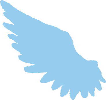 wing PNG, SVG