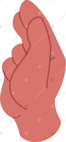 hand is holding something PNG, SVG