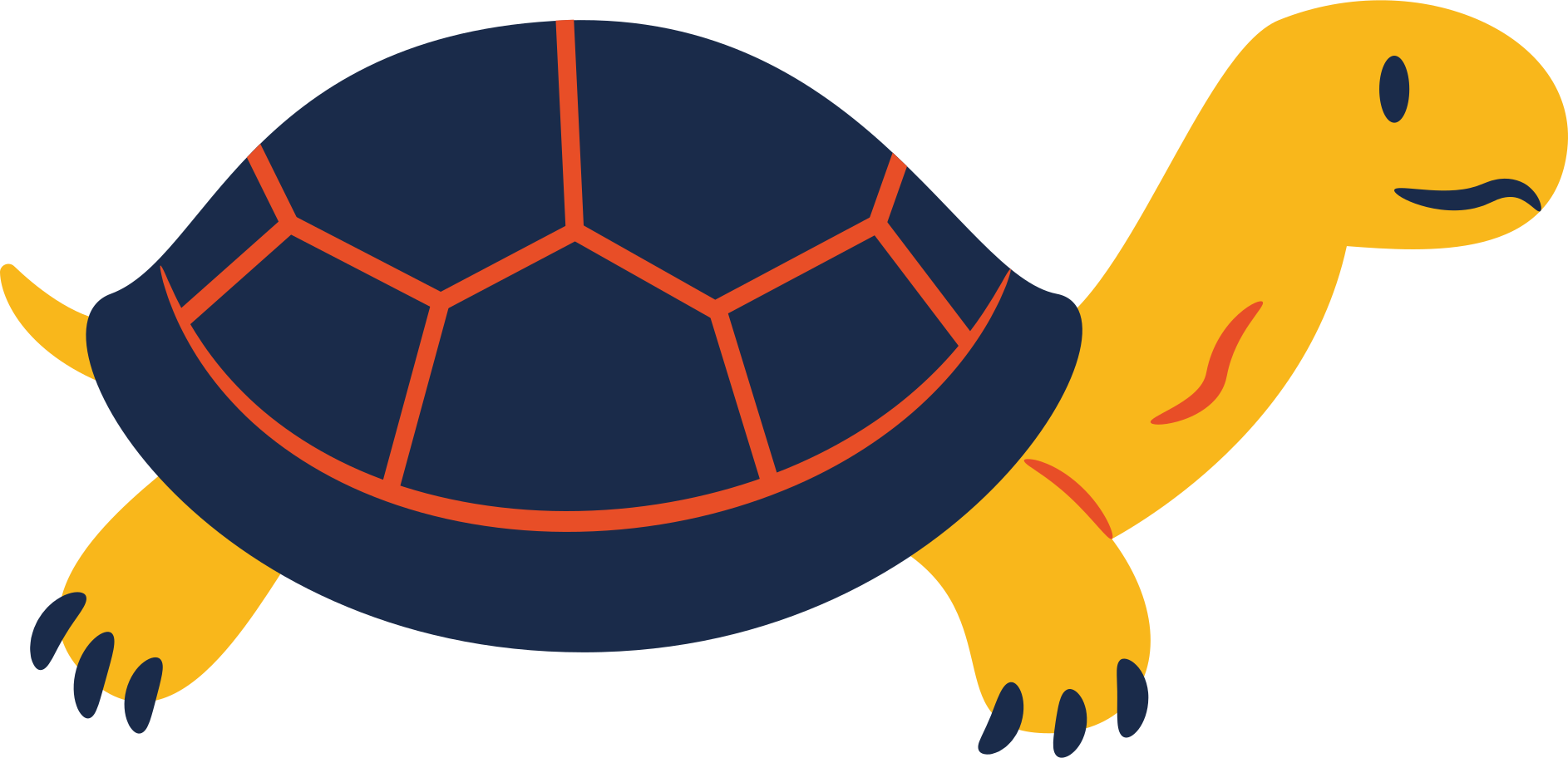 Turtle Illustration in PNG, SVG