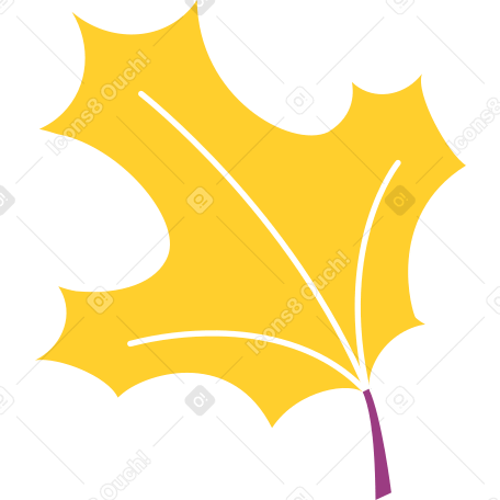 Maple leaf PNG, SVG